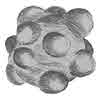 Kidney Stone, Large Brown