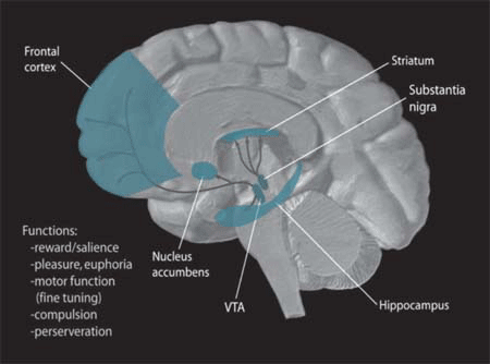 Parksinson's Disease