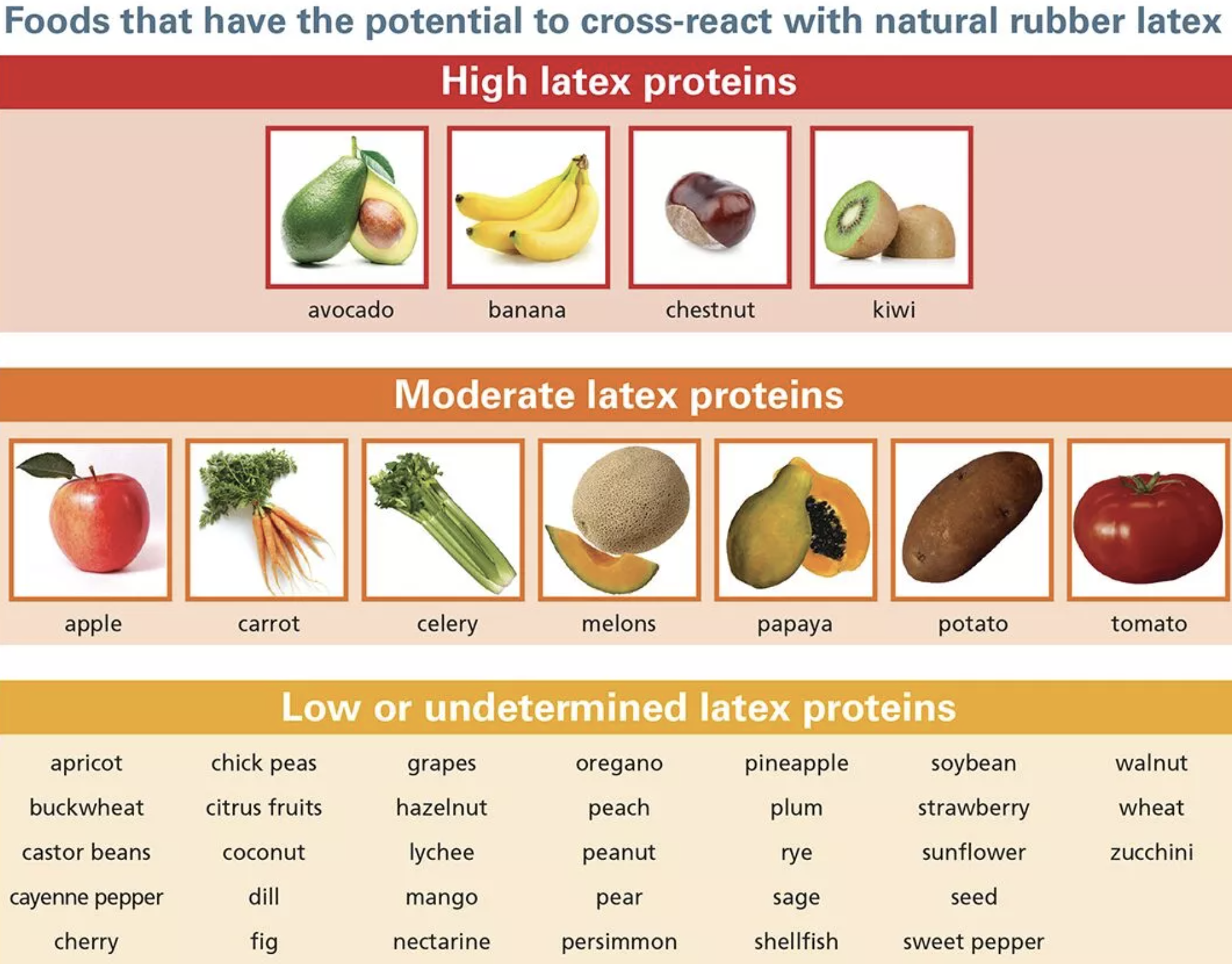 Photo of a chart showing the high, moderate and low food items that can cross react with a natural latex allergy