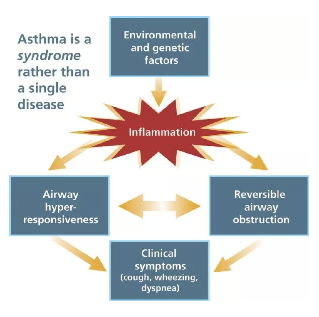 Infographic showing how severe Asthma entails symptoms that don't go away with medication