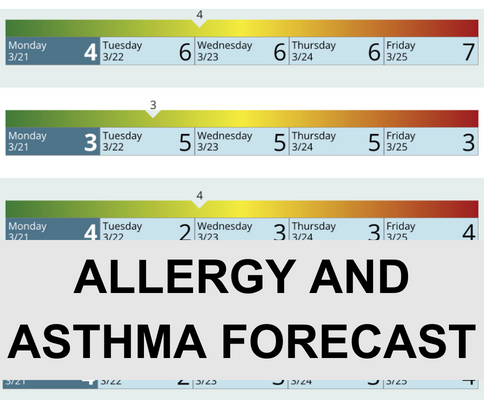 Allergy and Asthma Forecast