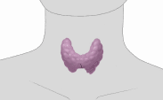 Hormone Disorders