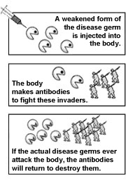 Immunizations